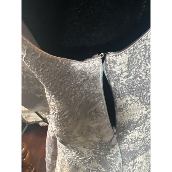 Anthropology Eva Franco Zander Dress Platinum Wave Classic Coquette twee fairy - Picture 9 of 12